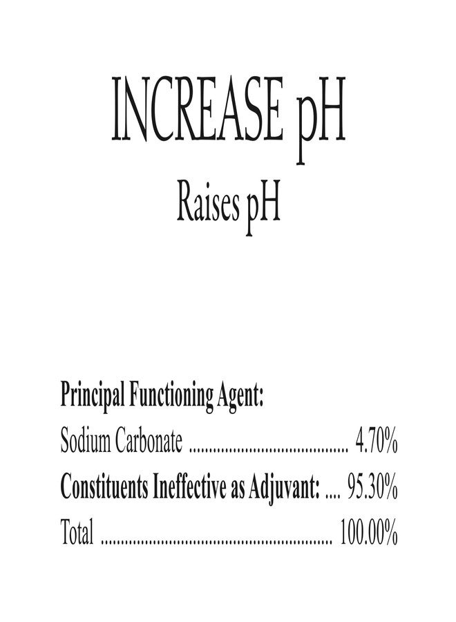SpaChoice Spa Choice 472-3-4011-04 Increase pH for Spas and Hot Tubs, 1-Quart, 4-Pack - Image 4