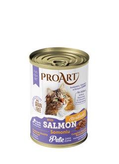 Proart Adult Sterilized Cat Pate With Salomon 400g x12 - pzsku/Z98C886ADA01714337D0BZ/45/1741174346/6d7c33b9-20f7-47b4-9576-2281fcc7656b