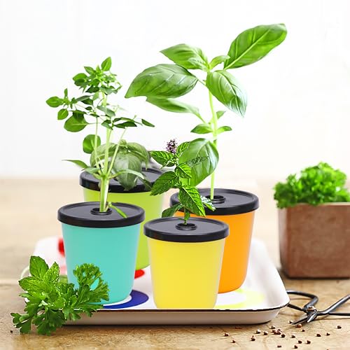 Kiicii Kratky Method Hydroponic Planter Kit, 8 Hydroponic Planter Plus 24 Growing Sponges for Herbs, Hydroponic Mini Buckets for Windowsill Herb Garden, Hydroponic Growing System for Vegetables - Image 2