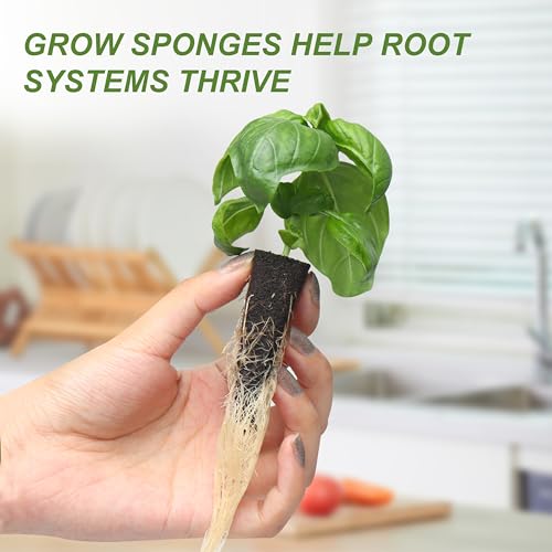 Kiicii Kratky Method Hydroponic Planter Kit, 8 Hydroponic Planter Plus 24 Growing Sponges for Herbs, Hydroponic Mini Buckets for Windowsill Herb Garden, Hydroponic Growing System for Vegetables - Image 4