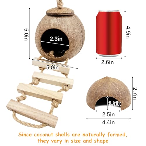 kathson 9PCS Natural Coconut Hut Hamster Hiding House Pet Cave Small Animal Cage Habitat Decor Hanging Hamster Toys with Ladder for Gerbils Hermit Crabs Dwarf Lizards - Image 5