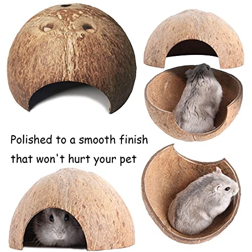 kathson 9PCS Natural Coconut Hut Hamster Hiding House Pet Cave Small Animal Cage Habitat Decor Hanging Hamster Toys with Ladder for Gerbils Hermit Crabs Dwarf Lizards - Image 4
