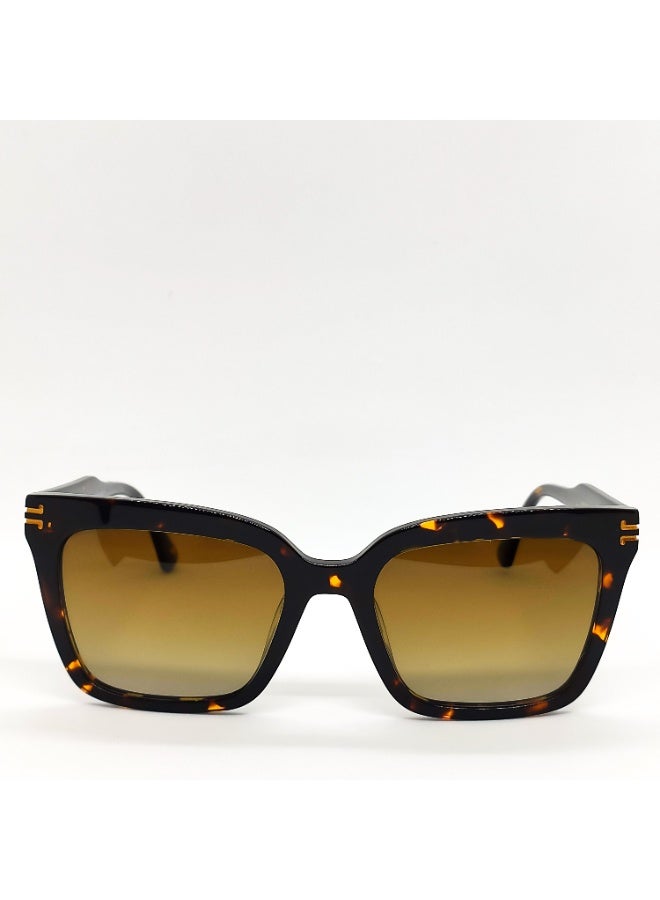 IVILARA SQM22033 Polarized IVILARA Women Sunglasses (Brown) - Image 3