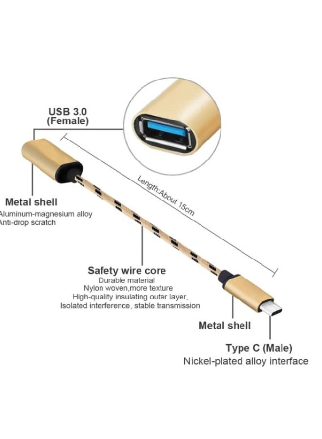 Terabyte محول كابل Type C إلى OTG - Image 2