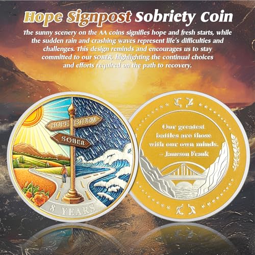 IELCJJ Hope Signpost 8 Year Sobriety Coin - Reborn from Storm AA Coins - Eight Year AA Chips and Medallions - 1-10 Years NA AA Celebrate Recovery Addicts - Narcotics Alcoholics Anonymous Gifts for Men Women - Image 2