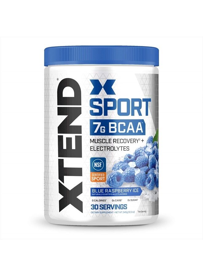SCIVATION بودرة XTEND سبورت BCAA توت أزرق مثلج - مسحوق إلكتروليت للتعافي والترطيب مع الأحماض الأمينية - 30 حصة - Image 1