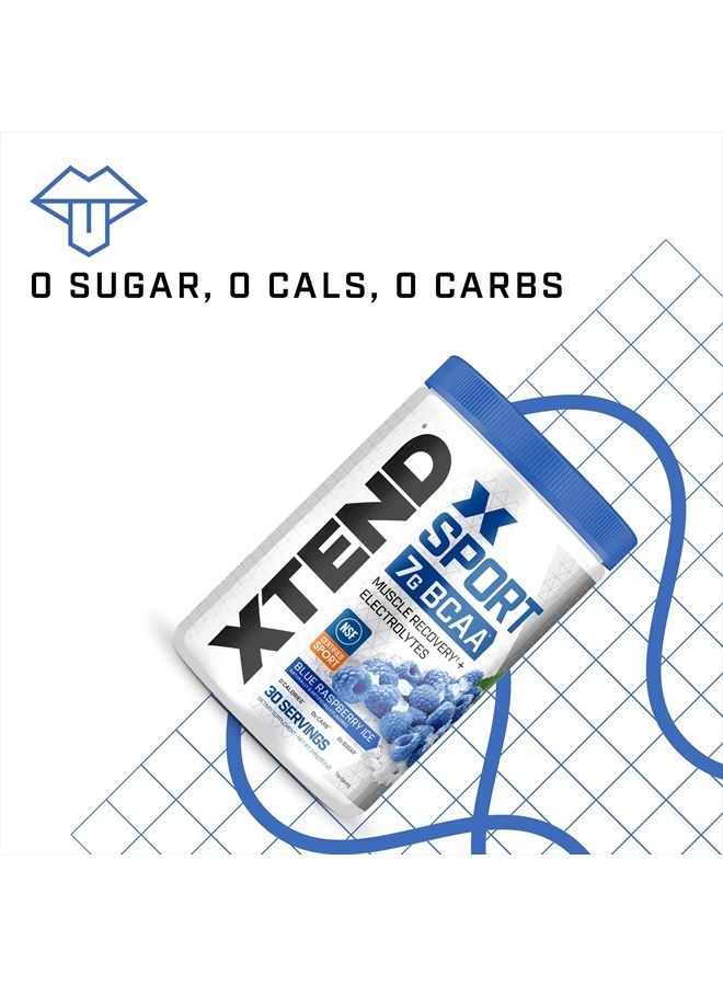 SCIVATION بودرة XTEND سبورت BCAA توت أزرق مثلج - مسحوق إلكتروليت للتعافي والترطيب مع الأحماض الأمينية - 30 حصة - Image 5