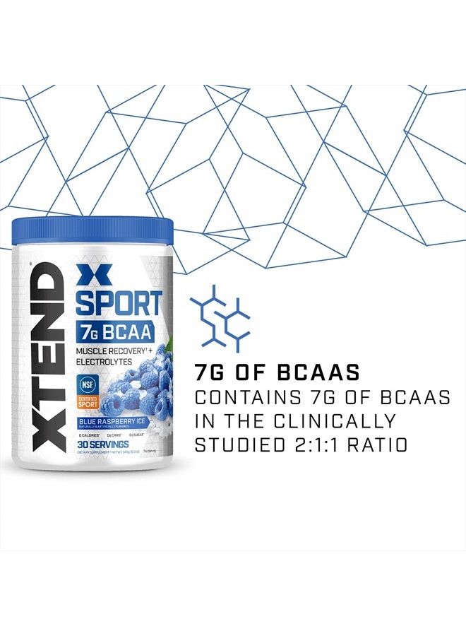 SCIVATION بودرة XTEND سبورت BCAA توت أزرق مثلج - مسحوق إلكتروليت للتعافي والترطيب مع الأحماض الأمينية - 30 حصة - Image 2