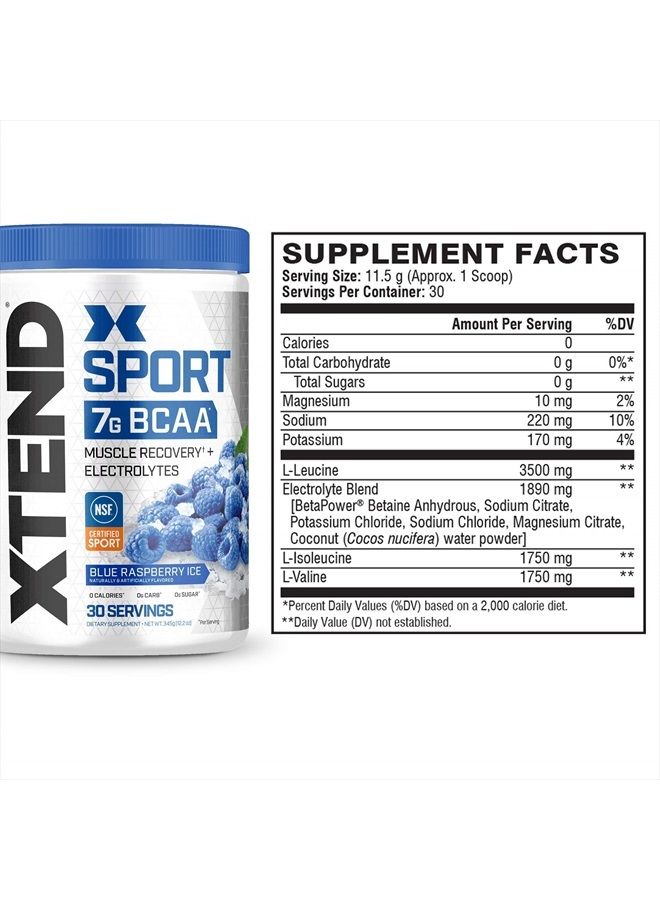 SCIVATION بودرة XTEND سبورت BCAA توت أزرق مثلج - مسحوق إلكتروليت للتعافي والترطيب مع الأحماض الأمينية - 30 حصة - Image 4