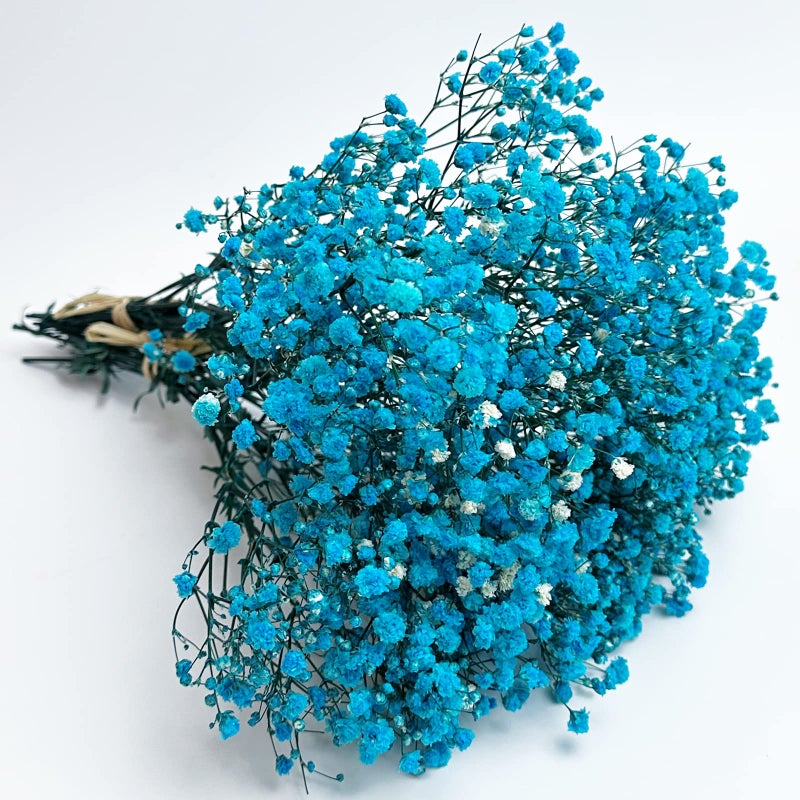 Birtlynn Preserved Babys Breath 3 Bunches 100 Natrual Fresh Gypsophila Long Lasting Flowers for Vase Arrangements Home Decoration Photo Props Parties and Weddings DIY DcorLight Blue