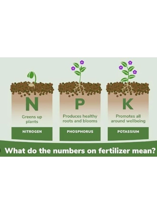 Express Zone Premium NPK 20-20-20 Fertilizer 500g GCC All Purpose Fertilizer for Indoor & Outdoor Plants - Image 4