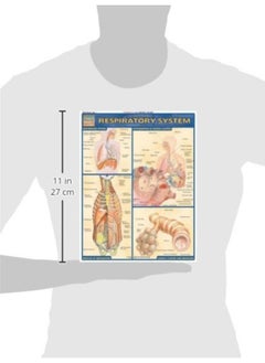 QuickStudy Respiratory System  - Image 2