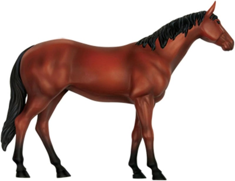 Realistic Horse Organ Anatomy Model for Study and Medical Teaching, Horse Anatomy Model for Medical Teaching Toy Study Aid - Image 5