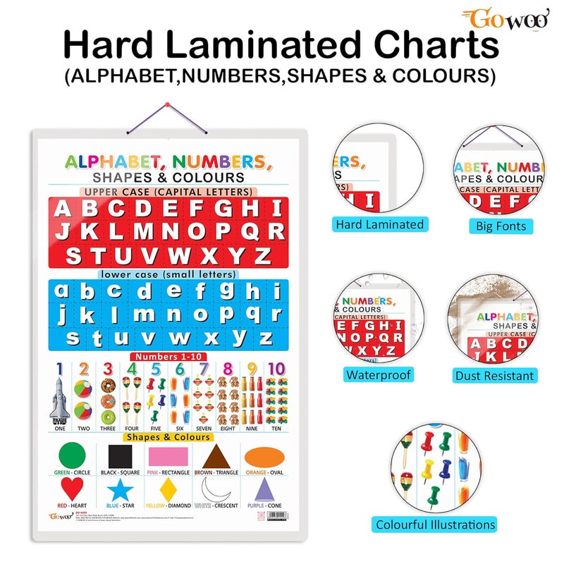 GoWoo Set of 2 Parts of the Body and Alphabet, Numbers, Shapes & Colours Early Learning Educational Charts for Kids | 20"X30" inch |Non-Tearable and Waterproof | Double Sided Laminated | Perfect for Homeschooling, Kindergarten and Nursery Students - Image 2