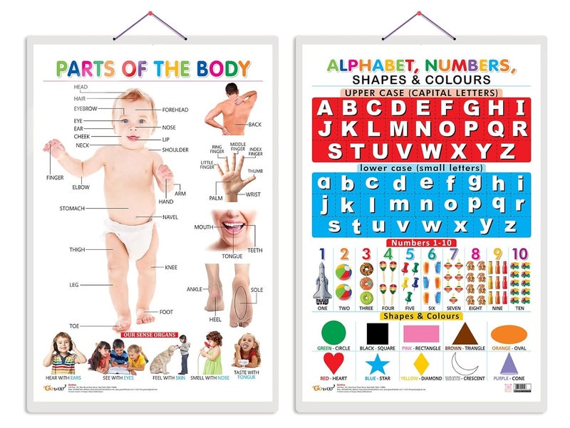 GoWoo Set of 2 Parts of the Body and Alphabet, Numbers, Shapes & Colours Early Learning Educational Charts for Kids | 20"X30" inch |Non-Tearable and Waterproof | Double Sided Laminated | Perfect for Homeschooling, Kindergarten and Nursery Students - Image 1