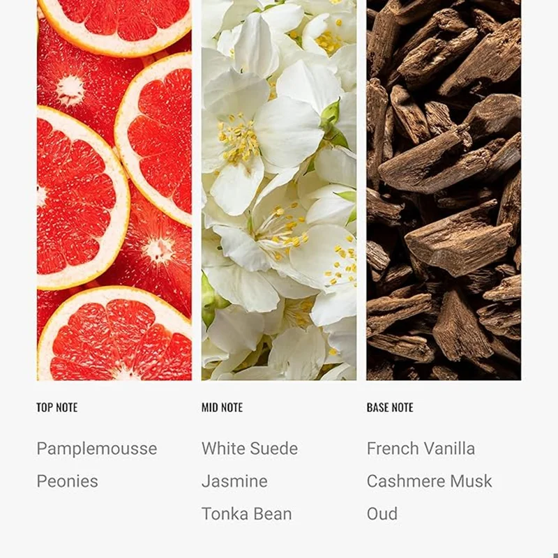 Hotel Collection  Riviera Fragrance Oil Blend - Hotel Inspired for Luxury Essential Oil Diffusers - Aromatherapy Scent Diffuser Oil - Pampleemousse, Jasmine, and Cashmere Oud - 120 mL, 4.1 fl oz  | Best Price UAE