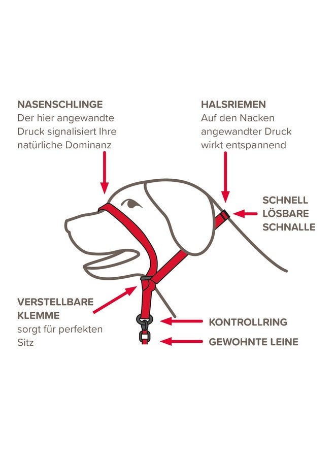 بيفار - قائد لطيف - كبير - أسود - قطعة واحدة - Image 4