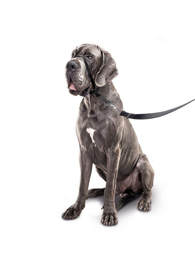 بيفار - قائد لطيف - كبير - أسود - قطعة واحدة - Image 3