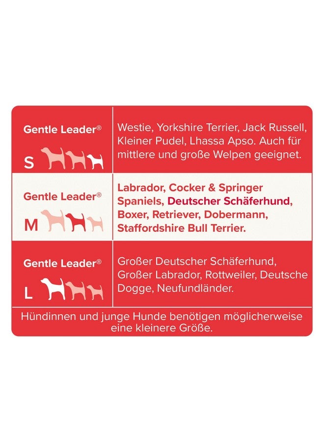 بيفار - قائد لطيف - كبير - أسود - قطعة واحدة - Image 5