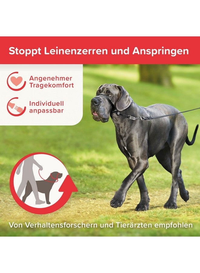 بيفار - قائد لطيف - كبير - أسود - قطعة واحدة - Image 2