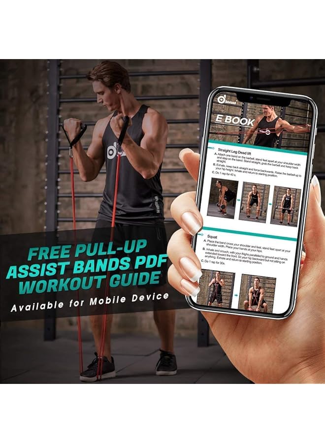 SKY-TOUCH Pull Up Assist Bands Stretch and Mobility Bands for Resistance Training Physical Therapy and Home Workout - Image 5