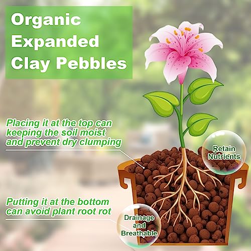 Riare 2 LBS Organic Expanded Clay Pebbles - 4mm-16mm Natural Leca Balls Lightweight Hydroponic Clay Pebbles Aggregate for Indoor Plants, Hydroponic Growing, Plants Drainage, Aquaponics - Image 3