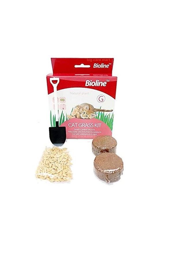 Bioline مجموعة بذور العشب بيولين للقطط 12 جرام - Image 3