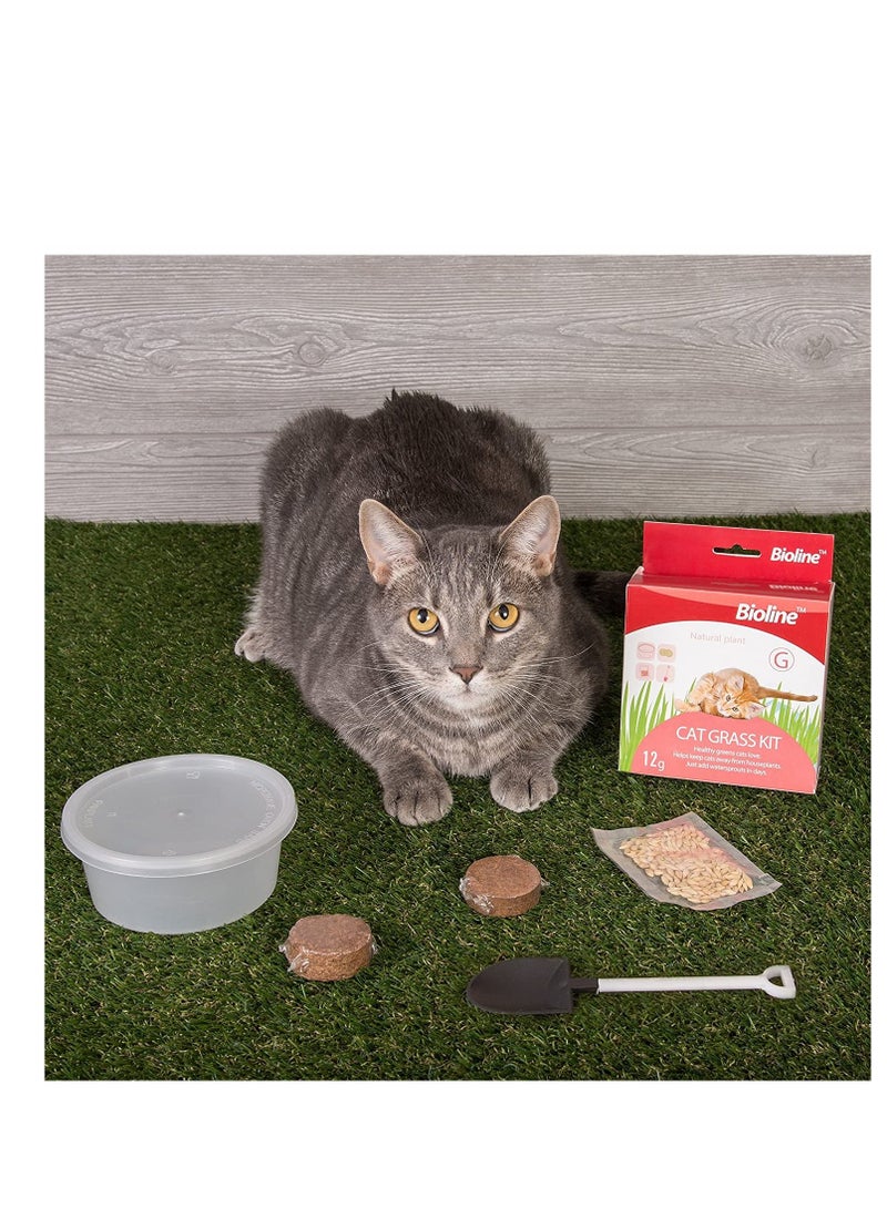 Bioline مجموعة بذور العشب بيولين للقطط 12 جرام - Image 2