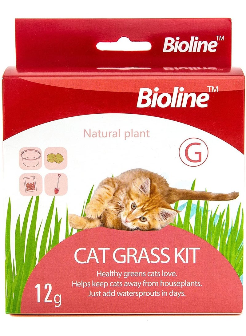 Bioline مجموعة بذور العشب بيولين للقطط 12 جرام - Image 1