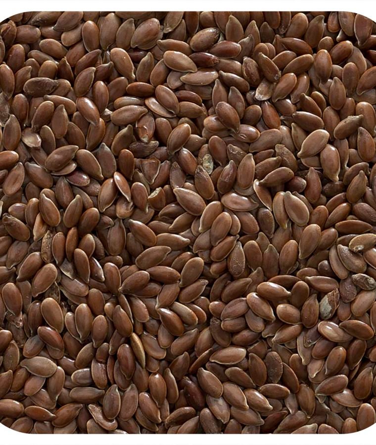 Organic Whole Flax Seed 16 oz (453 g)