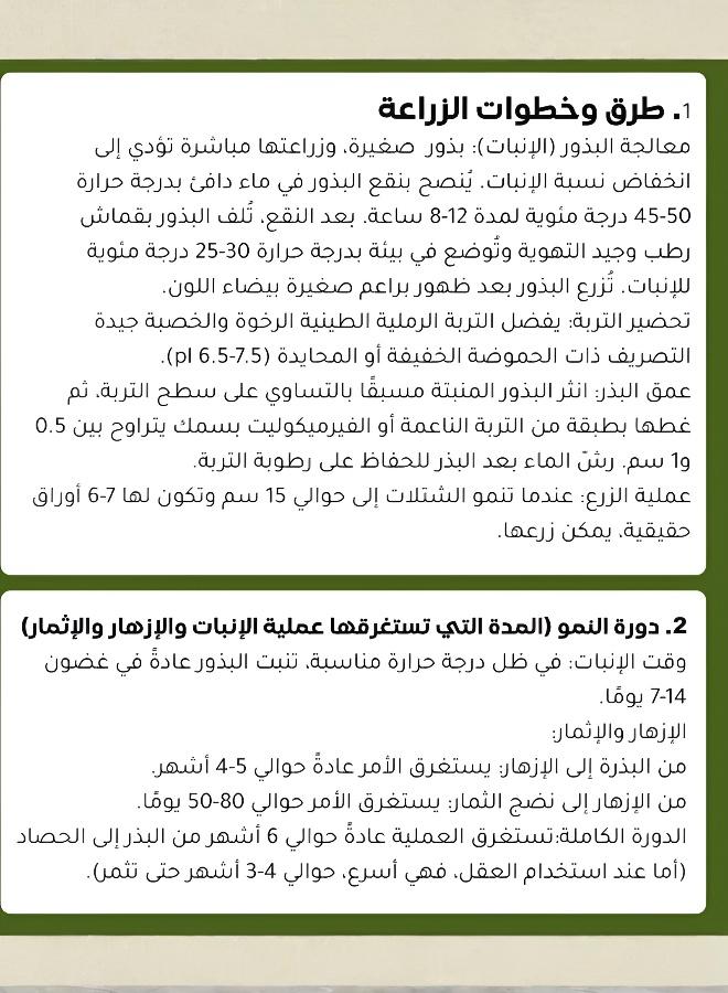 بذور طازجة للزراعة في الأواني المنزلية لدعم الحياة الصحية - Image 4