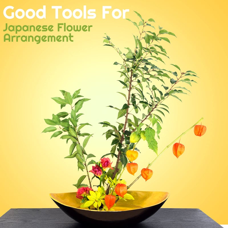 Waydress 12 Pieces Plastic Flower Frog Flower Pins Floral Frog for Arrangements Vase Japanese Floral Arrangement for Plant Decoration, Summer Activity, Wedding Decoration - Image 5