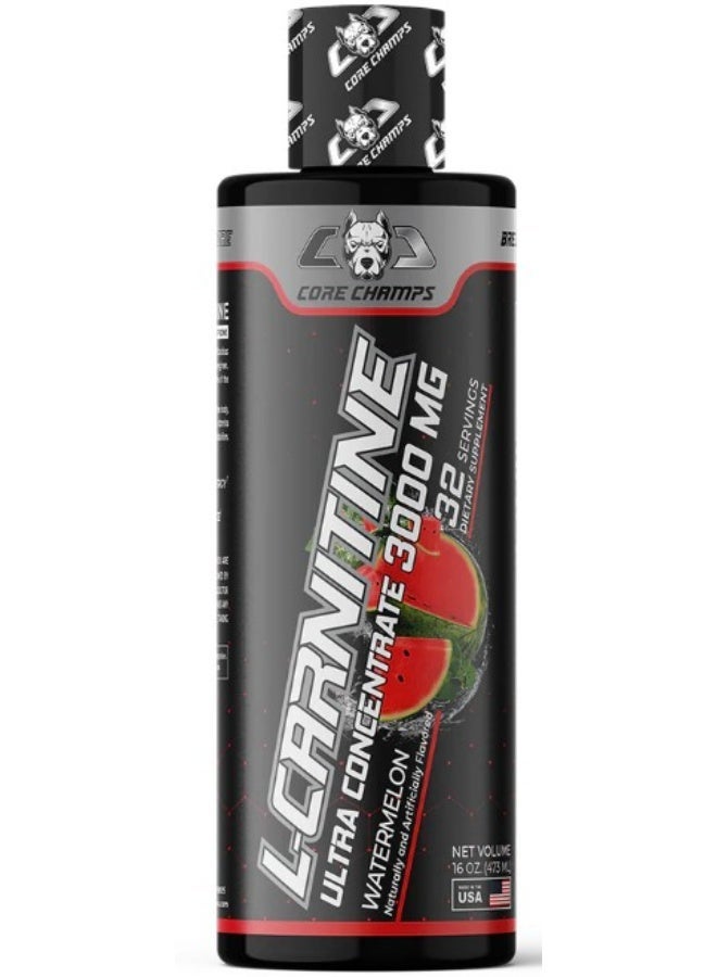 CORE CHAMPS L-Carnitine 3000 Mg Watermelon - Image 1