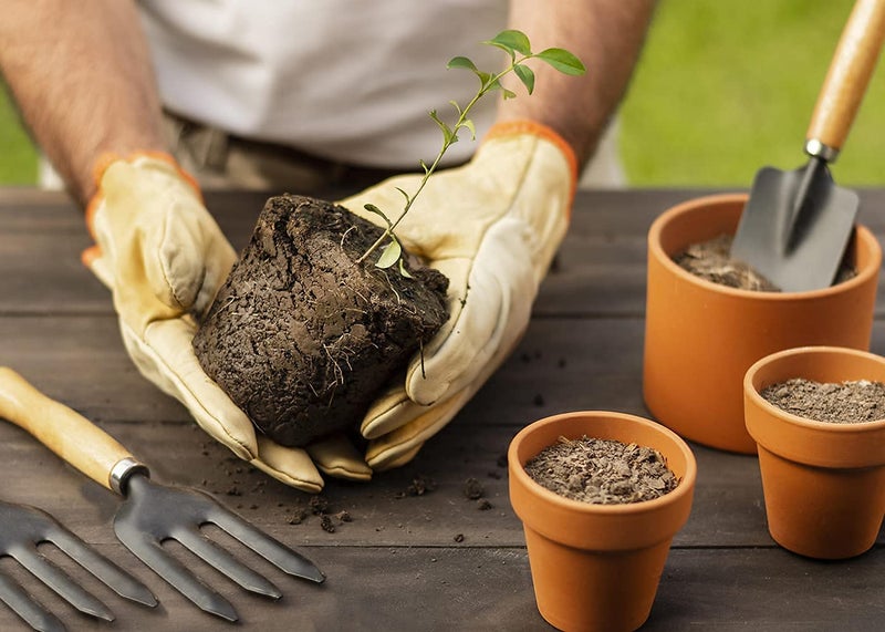 Garth Gardening Combo - Big Sized Hand Cultivator, Small Trowel, Garden Fork (Set of 3) - Image 4