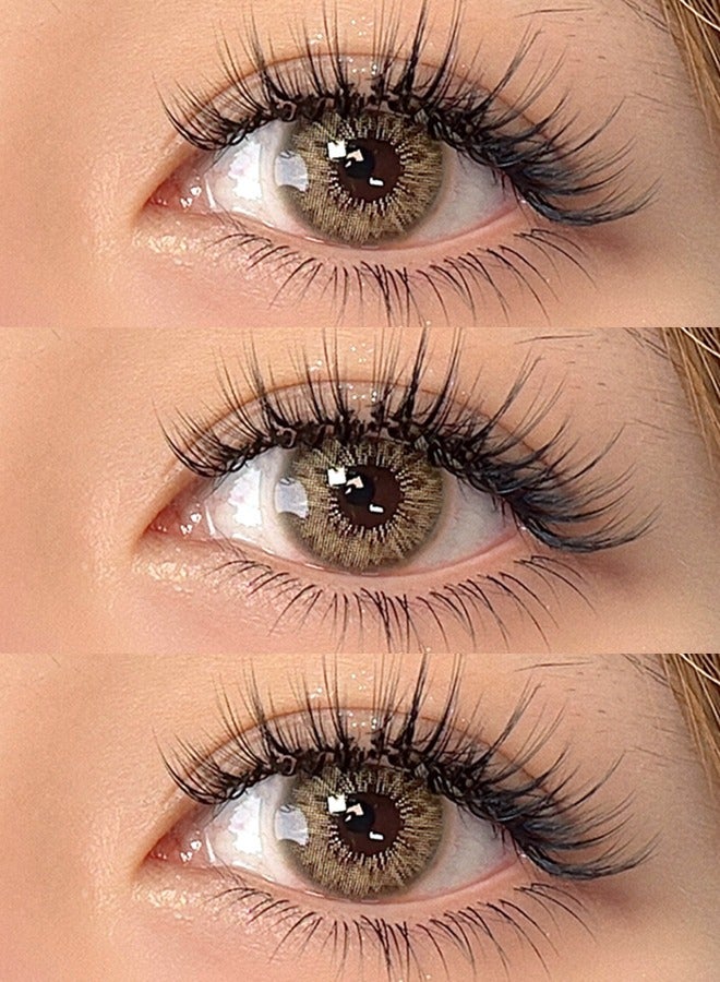 سيدة جديدة عدسات لاصقة ملونة بنية من فريش ليدي للاستخدام السنوي - Image 5