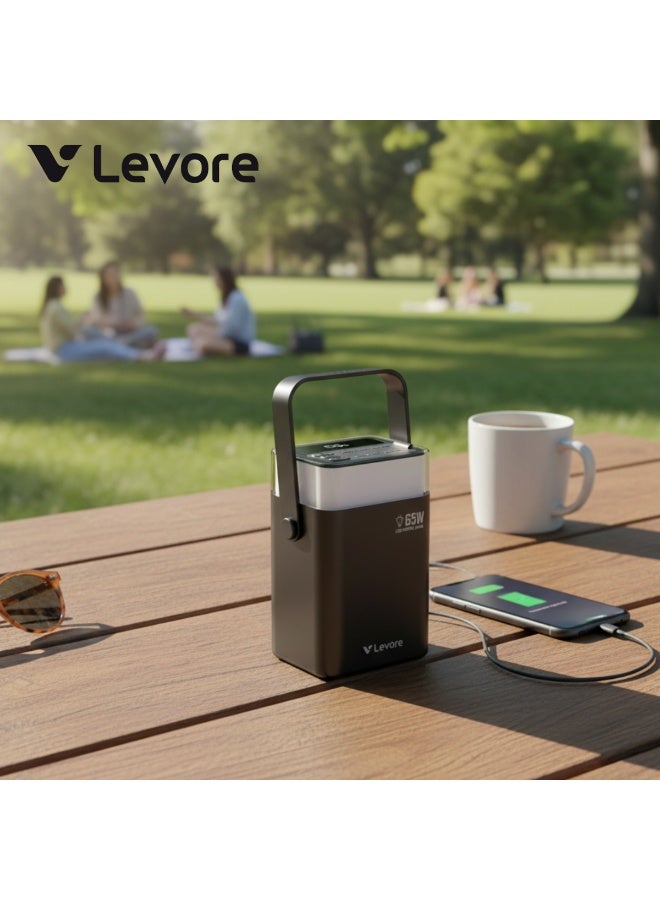 LEVORE 40000mAh 65W Ultra-large Powerbank (Model LP721-GY) - Image 5