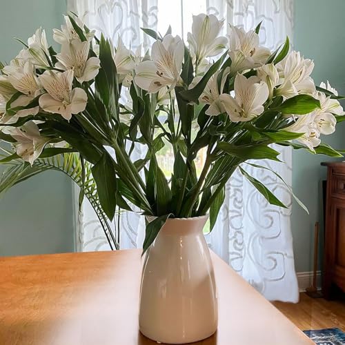 hjn White Flower Vase- Ceramic Vase for Decor, White vase for Flowers, Modern Vases for Living Room/Home Decor Accents/Entryway/Mantel/Bookshel - Image 2