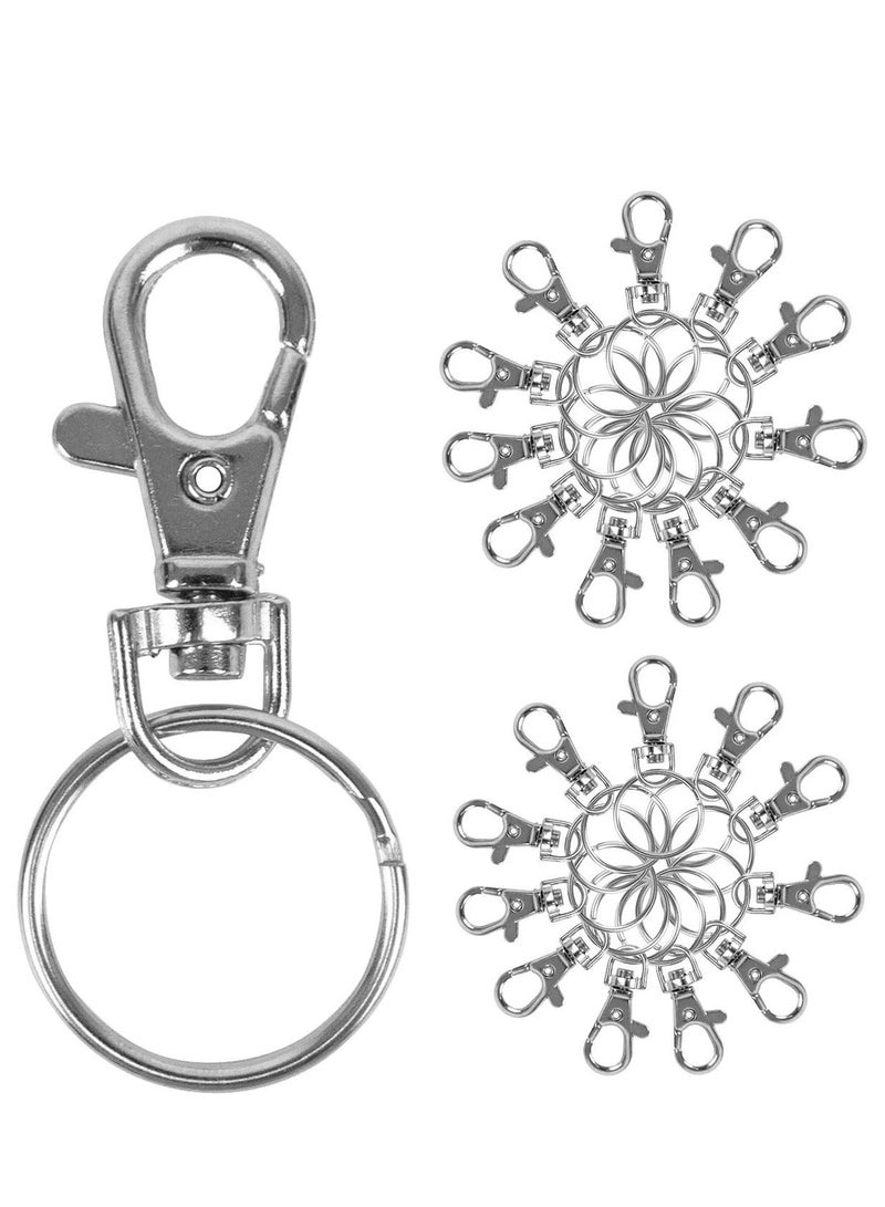 KASTWAVE 20 PCS Metal Keyring, Carabiner Clip Keychains Lobster Clasps Swivel Clips Key Chain for Men Women - Image 3
