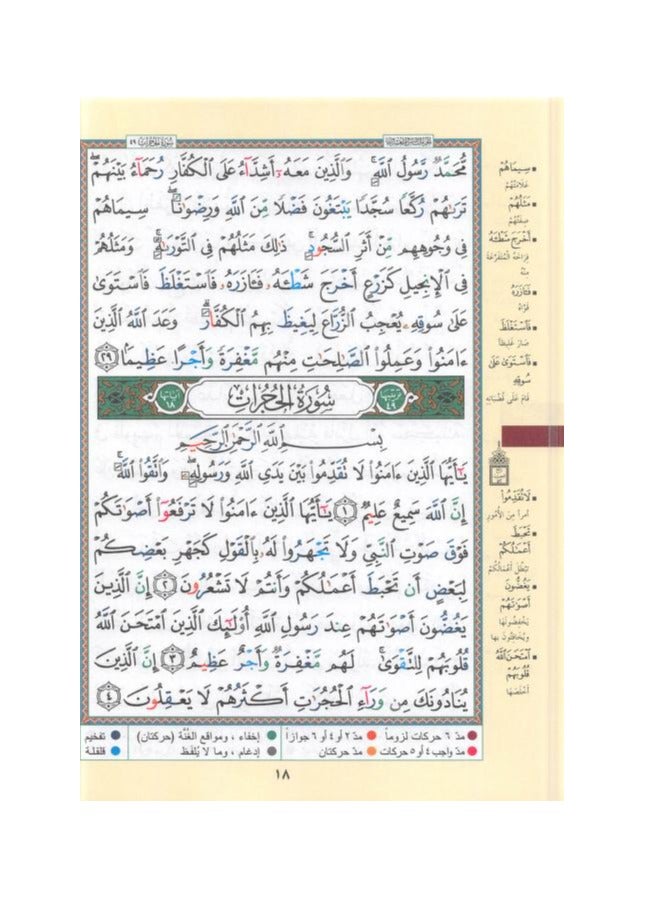 من سورة الأحقاف إلى سورة الناس الأجزاء من 26 إلى 30 مقاس وسط: 17×24 سم (علبة تحتوي على 5 قطعة) - Image 3