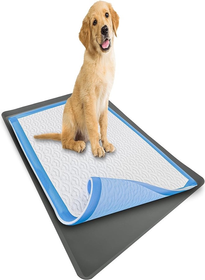 Skywin Dog Pee Pad Holder Tray Fits Up to 30” x 36” Wee Wee Pee Pads - Stable Grip, Raised Edges, Quick-Wipe Silicone Surface Dog Potty Tray Holder for Indoor Flooring Protection (Grey, 2 Pack)