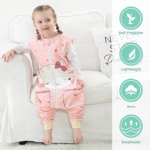 MICHLEY Unisex Baby Wearable Blanket Autumn Winter Toddler Sleeveless Sleeping Bag with Feet,Cat,1-3T - Image 3