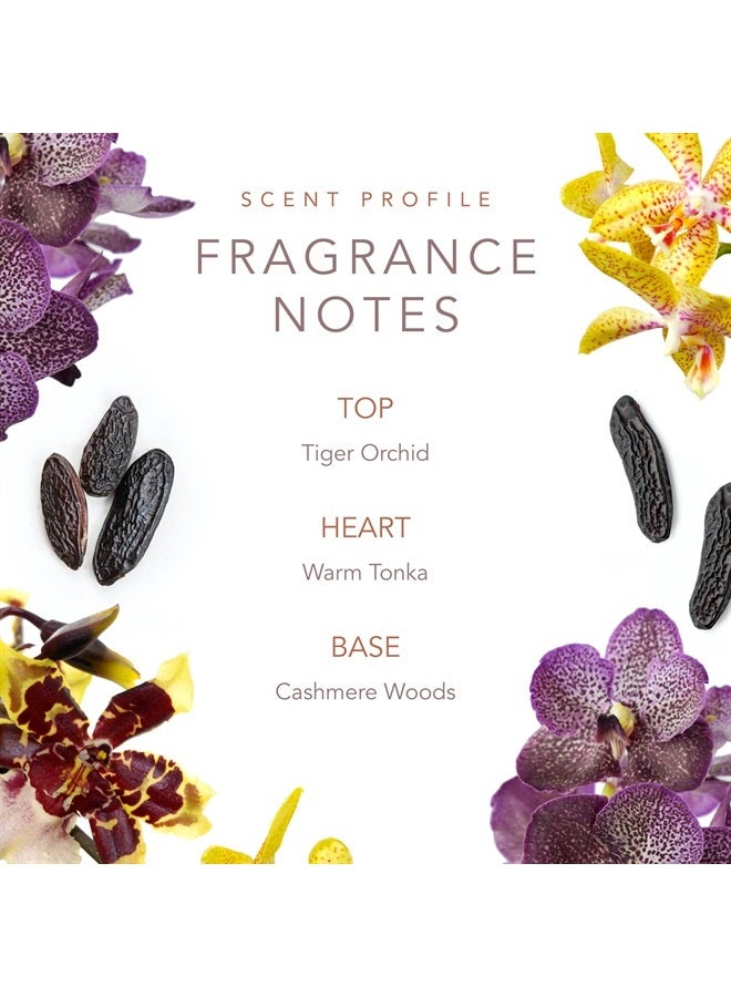 SCENT BEAUTY Dolly Parton Body Mist Perfume for Women - 8.0 Fl Oz - Smoky Mountain - Image 4