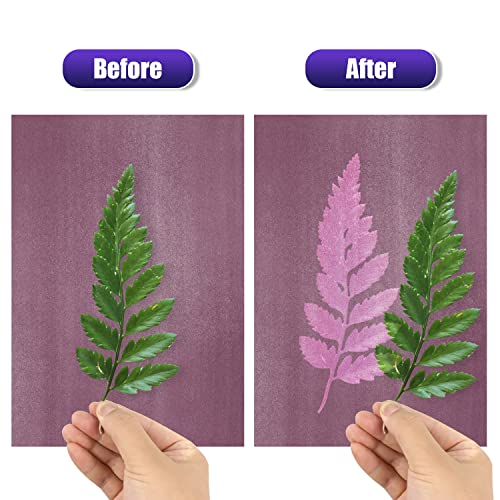 LIGHOON Colorful Sun Print Paper Kit, 24 Sheets Thick Cyanotype Papers with 1 Sheet Acrylic Panel, High Sensitive Nature Sun/Solar Activated Sun Printing Art Paper for Arts Crafts DIY Project, 6 Colors - Image 4