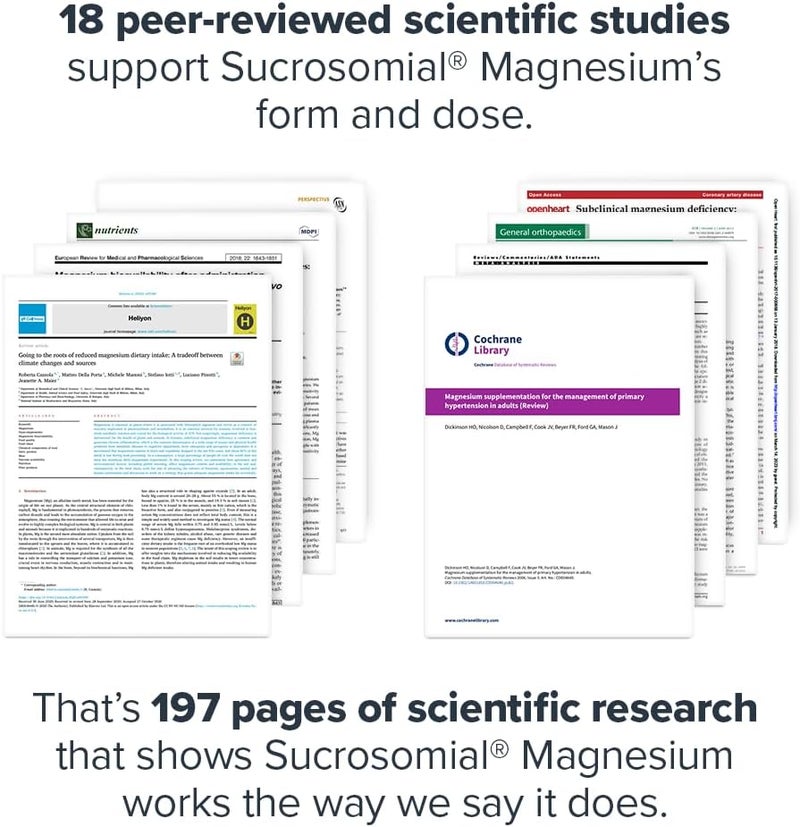Legion Sucrosomial Magnesium Supplements  High Absorption Magnesium Supplement for Women  Men  Magnesium Mineral Supplements to Help Boost Athletic Performance  Overall Health  120 Servings - Image 3