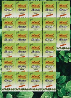 Pyary 27 Pieces Ayurvedic Soap Tumeric 