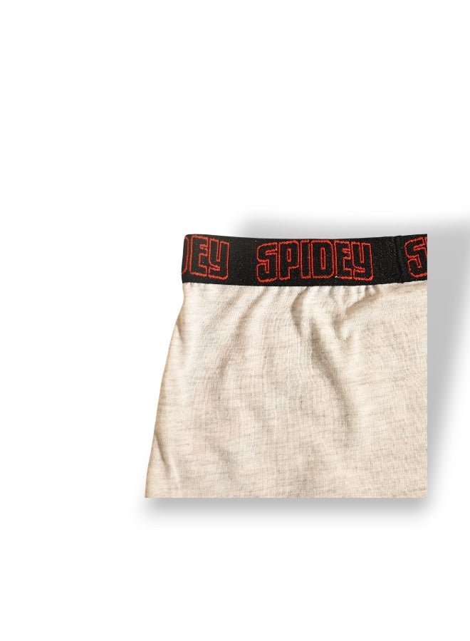 SPIDERMAN SPIDERMAN 2PCS BOYS BOXER , 65%polyester,35%cotton  - Image 4