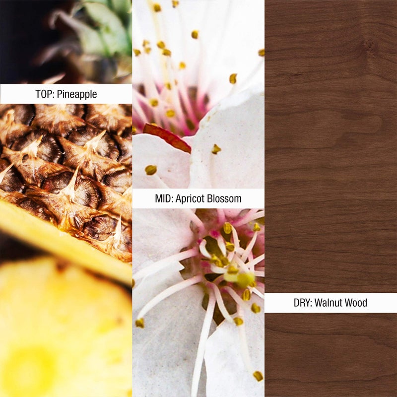 Shawn Mendes Signature II Perfume Spray for Women & Men, 1.7 fl. oz. - Image 4