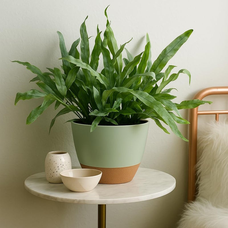 TYMENSH Plant Pots 12/10/9 inch Set of 3, Self Watering Flower Pots Indoor Outdoor, Planters with Drainage Hole Saucer Reservoir, Green - Image 5