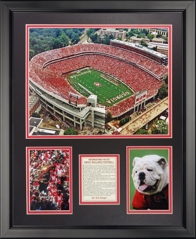 Legends Never Die Sanford Stadium Framed Photo Collage 16 x 20 19871U