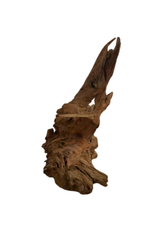 Natural Root Carving Decor 70 cm Handmade Driftwood Wood Sculpture Organic Tree Root Decoration for Home, Tea Table & Aquarium - Image 1